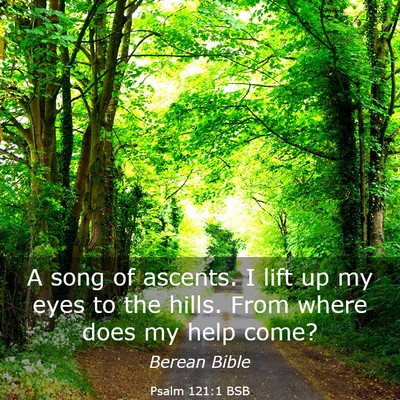 Picture 03 - Psalm 121:1 BSB - A song of ascents. I lift up my eyes to the - Bible Verse Picture