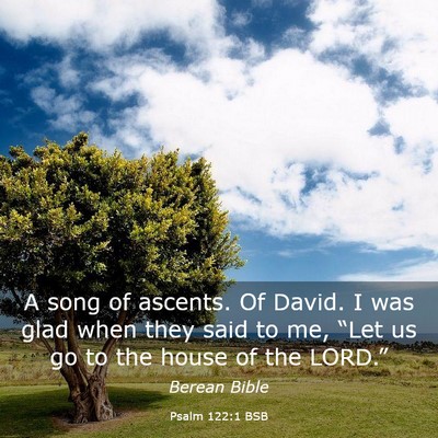 Picture 03 - Psalm 122:1 BSB - A song of ascents. Of David. I was glad when they - Bible Verse Picture