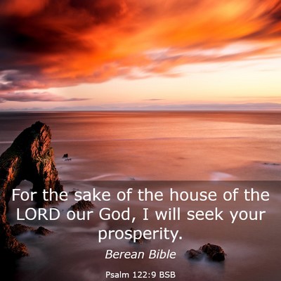 Picture 03 - Psalm 122:9 BSB - For the sake of the house of the LORD our God, I - Bible Verse Picture