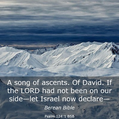 Picture 03 - Psalm 124:1 BSB - A song of ascents. Of David. If the LORD had not - Bible Verse Picture