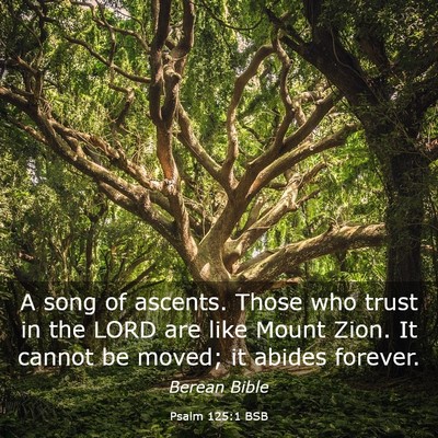 Picture 03 - Psalm 125:1 BSB - A song of ascents. Those who trust in the LORD - Bible Verse Picture