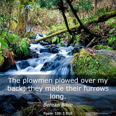 Picture 03 - Psalm 129:3 BSB - The plowmen plowed over my back; they made their - Bible Verse Picture