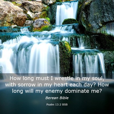 Picture 03 - Psalm 13:2 BSB - How long must I wrestle in my soul, with sorrow - Bible Verse Picture