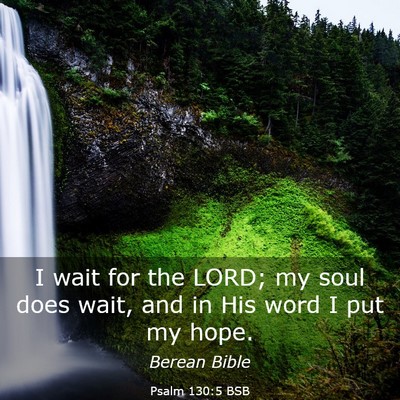 Picture 03 - Psalm 130:5 BSB - I wait for the LORD; my soul does wait, and in - Bible Verse Picture