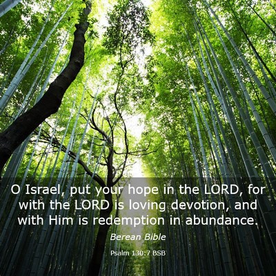 Picture 03 - Psalm 130:7 BSB - O Israel, put your hope in the LORD, for with the - Bible Verse Picture