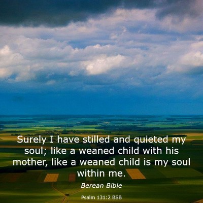Picture 03 - Psalm 131:2 BSB - Surely I have stilled and quieted my soul; like a - Bible Verse Picture