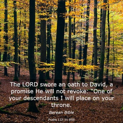 Picture 03 - Psalm 132:11 BSB - The LORD swore an oath to David, a promise He - Bible Verse Picture