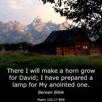Picture 03 - Psalm 132:17 BSB - There I will make a horn grow for David; I have - Bible Verse Picture