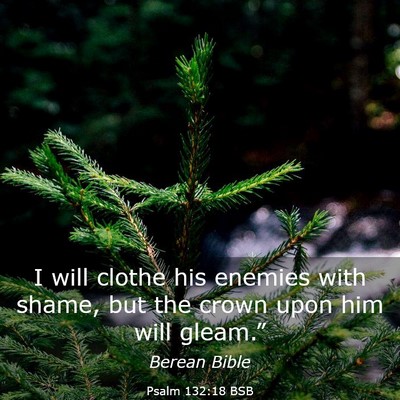 Picture 03 - Psalm 132:18 BSB - I will clothe his enemies with shame, but the - Bible Verse Picture
