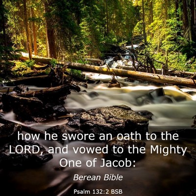 Picture 03 - Psalm 132:2 BSB - how he swore an oath to the LORD, and vowed to - Bible Verse Picture