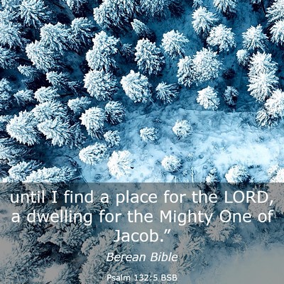 Picture 03 - Psalm 132:5 BSB - until I find a place for the LORD, a dwelling for - Bible Verse Picture