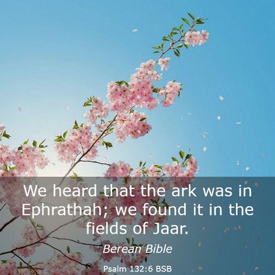 Picture 03 - Psalm 132:6 BSB - We heard that the ark was in Ephrathah; we found - Bible Verse Picture