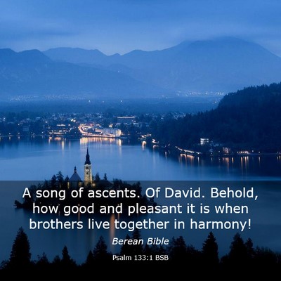 Picture 03 - Psalm 133:1 BSB - A song of ascents. Of David. Behold, how good and - Bible Verse Picture