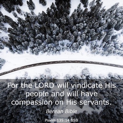 Picture 03 - Psalm 135:14 BSB - For the LORD will vindicate His people and will - Bible Verse Picture