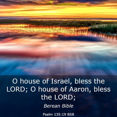 Picture 03 - Psalm 135:19 BSB - O house of Israel, bless the LORD; O house of - Bible Verse Picture