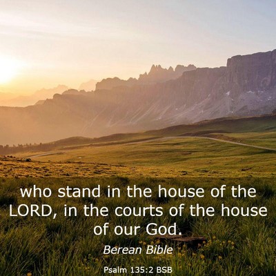 Picture 03 - Psalm 135:2 BSB - who stand in the house of the LORD, in the courts - Bible Verse Picture