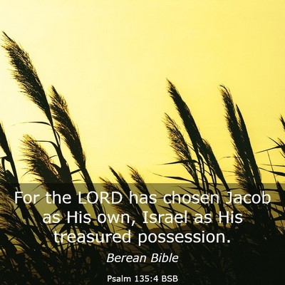Picture 03 - Psalm 135:4 BSB - For the LORD has chosen Jacob as His own, Israel - Bible Verse Picture