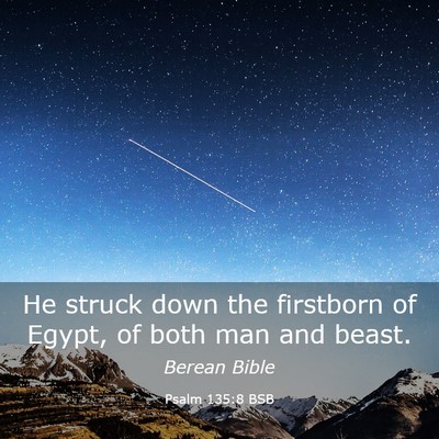 Picture 03 - Psalm 135:8 BSB - He struck down the firstborn of Egypt, of both - Bible Verse Picture