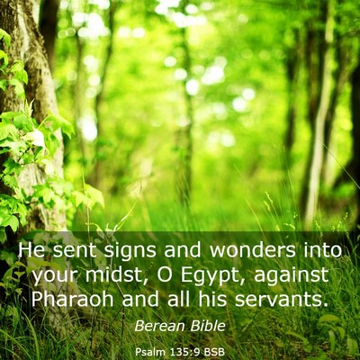 Picture 03 - Psalm 135:9 BSB - He sent signs and wonders into your midst, O - Bible Verse Picture