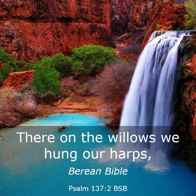 Picture 03 - Psalm 137:2 BSB - There on the willows we hung our - Bible Verse Picture