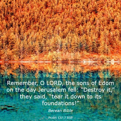 Picture 03 - Psalm 137:7 BSB - Remember, O LORD, the sons of Edom on the day - Bible Verse Picture