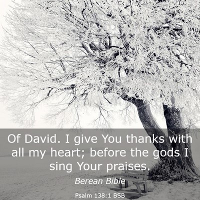 Picture 03 - Psalm 138:1 BSB - Of David. I give You thanks with all my heart; - Bible Verse Picture