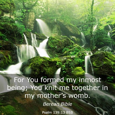 Picture 03 - Psalm 139:13 BSB - For You formed my inmost being; You knit me - Bible Verse Picture