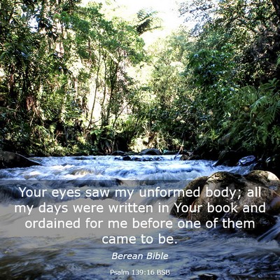 Picture 03 - Psalm 139:16 BSB - Your eyes saw my unformed body; all my days were - Bible Verse Picture