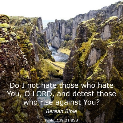 Picture 03 - Psalm 139:21 BSB - Do I not hate those who hate You, O LORD, and - Bible Verse Picture