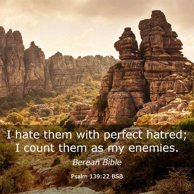 Picture 03 - Psalm 139:22 BSB - I hate them with perfect hatred; I count them as - Bible Verse Picture