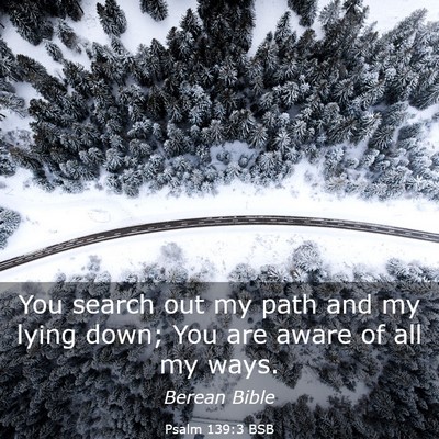 Picture 03 - Psalm 139:3 BSB - You search out my path and my lying down; You are - Bible Verse Picture