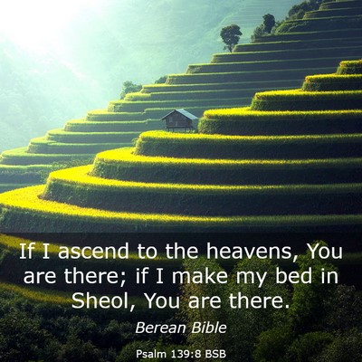 Picture 03 - Psalm 139:8 BSB - If I ascend to the heavens, You are there; if I - Bible Verse Picture