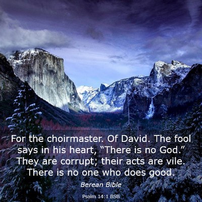 Picture 03 - Psalm 14:1 BSB - For the choirmaster. Of David. The fool says in - Bible Verse Picture