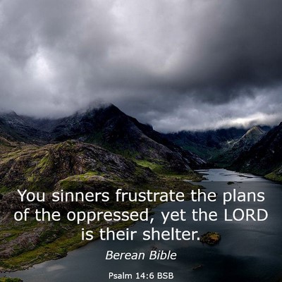 Picture 03 - Psalm 14:6 BSB - You sinners frustrate the plans of the oppressed, - Bible Verse Picture