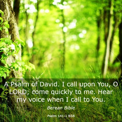 Picture 03 - Psalm 141:1 BSB - A Psalm of David. I call upon You, O LORD; come - Bible Verse Picture
