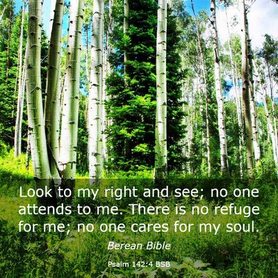 Picture 03 - Psalm 142:4 BSB - Look to my right and see; no one attends to me. - Bible Verse Picture