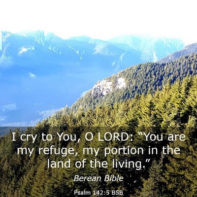 Picture 03 - Psalm 142:5 BSB - I cry to You, O LORD: “You are my refuge, my - Bible Verse Picture