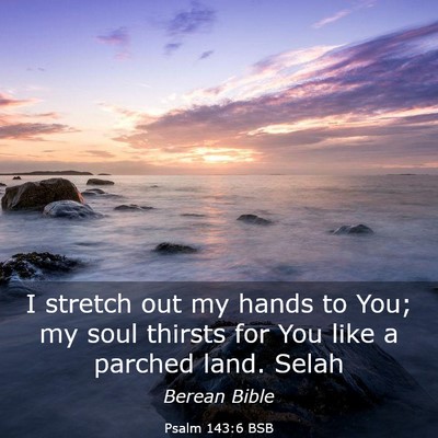 Picture 03 - Psalm 143:6 BSB - I stretch out my hands to You; my soul thirsts - Bible Verse Picture