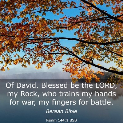 Picture 03 - Psalm 144:1 BSB - Of David. Blessed be the LORD, my Rock, who - Bible Verse Picture