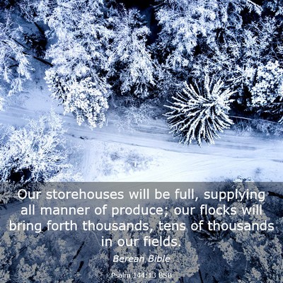 Picture 03 - Psalm 144:13 BSB - Our storehouses will be full, supplying all - Bible Verse Picture