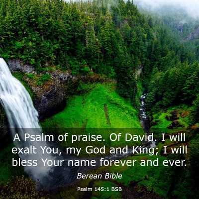 Picture 03 - Psalm 145:1 BSB - A Psalm of praise. Of David. I will exalt You, my - Bible Verse Picture