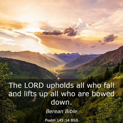 Picture 03 - Psalm 145:14 BSB - The LORD upholds all who fall and lifts up all - Bible Verse Picture