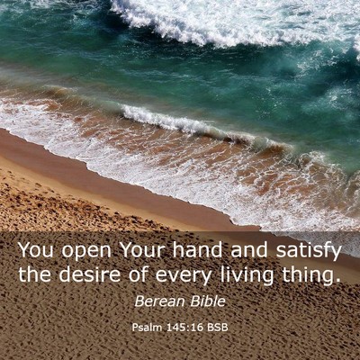 Picture 03 - Psalm 145:16 BSB - You open Your hand and satisfy the desire of - Bible Verse Picture