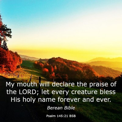 Picture 03 - Psalm 145:21 BSB - My mouth will declare the praise of the LORD; let - Bible Verse Picture