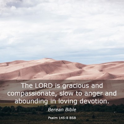 Picture 03 - Psalm 145:8 BSB - The LORD is gracious and compassionate, slow to - Bible Verse Picture