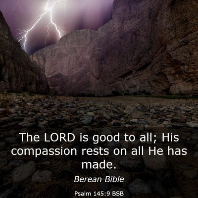 Picture 03 - Psalm 145:9 BSB - The LORD is good to all; His compassion rests on - Bible Verse Picture