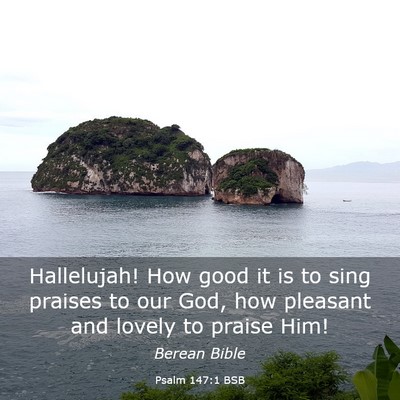 Picture 03 - Psalm 147:1 BSB - Hallelujah! How good it is to sing praises to our - Bible Verse Picture