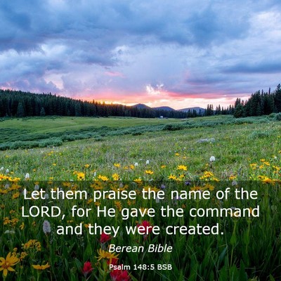 Picture 03 - Psalm 148:5 BSB - Let them praise the name of the LORD, for He gave - Bible Verse Picture