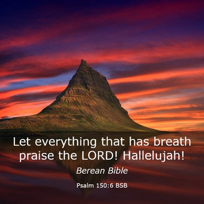 Picture 03 - Psalm 150:6 BSB - Let everything that has breath praise the LORD! - Bible Verse Picture