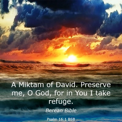 Picture 03 - Psalm 16:1 BSB - A Miktam of David. Preserve me, O God, for in You - Bible Verse Picture
